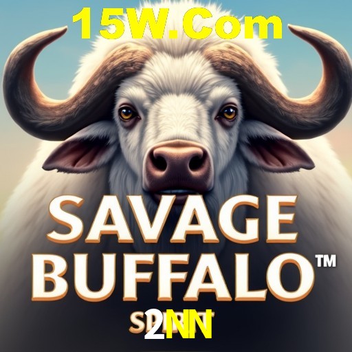 Descubra a Essência do 2NN: Nossa História e Compromissos