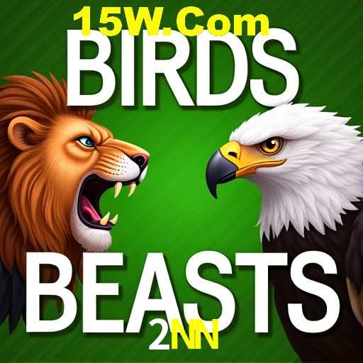 2NN Rio de Janeiro - Bonus Terms